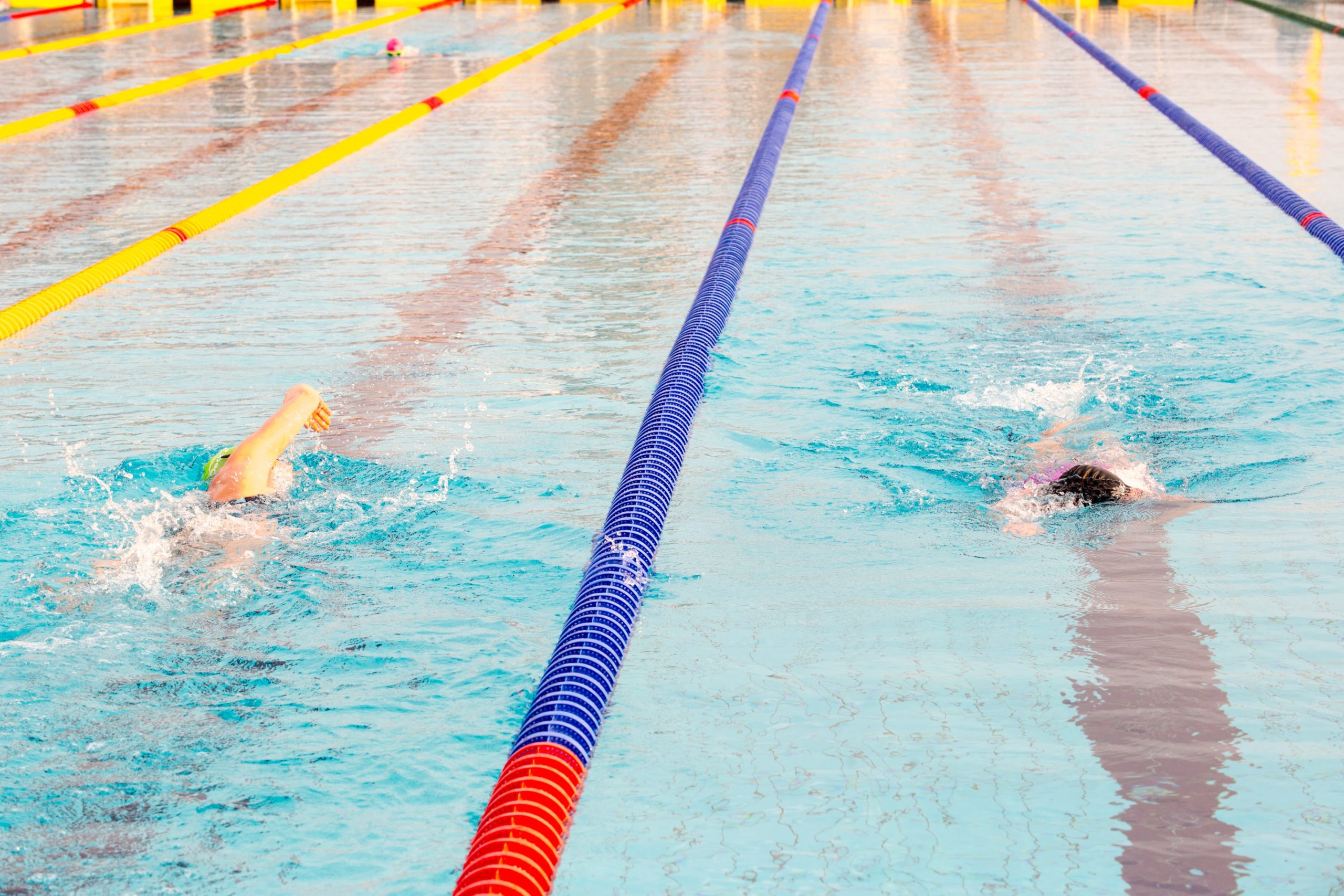 campionat european inot in ape inghetate oradea (33)