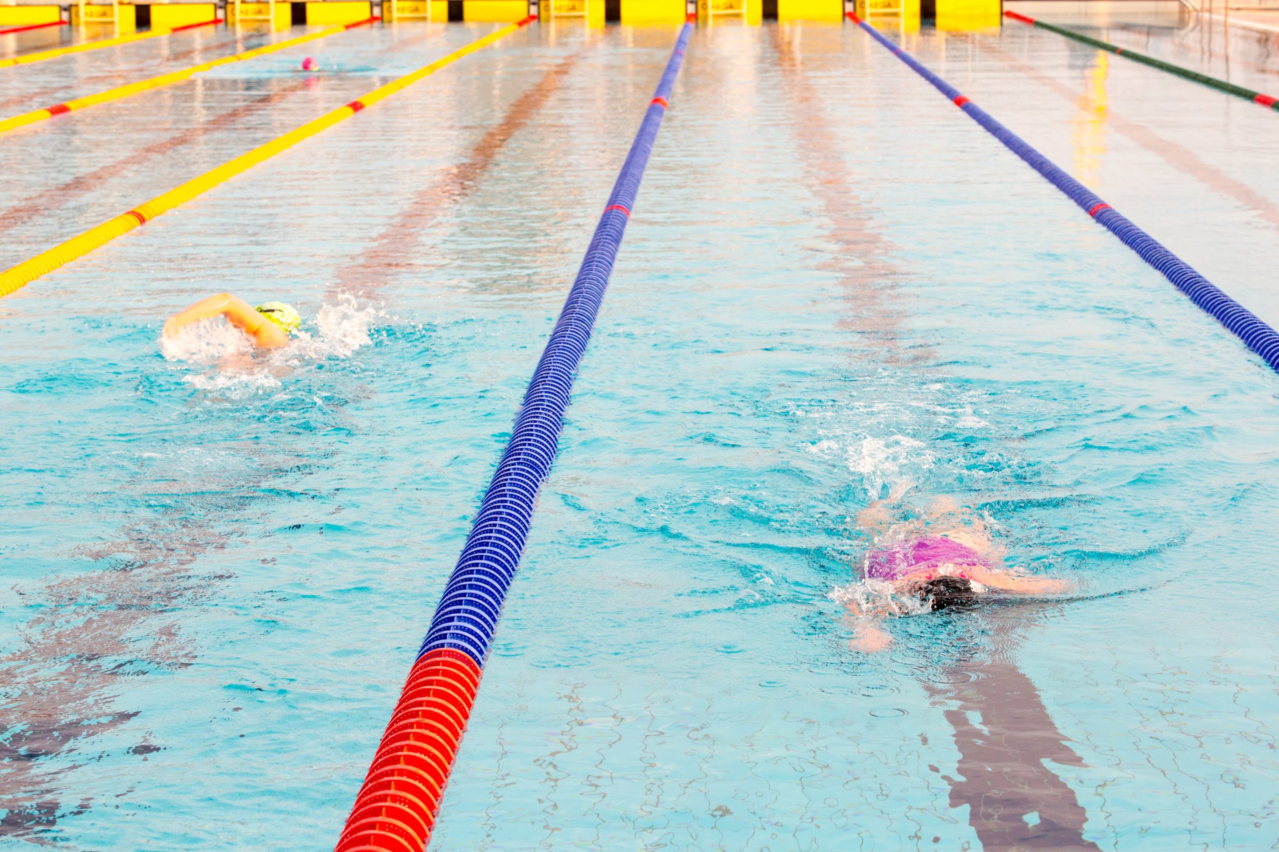 campionat european inot in ape inghetate oradea (34)