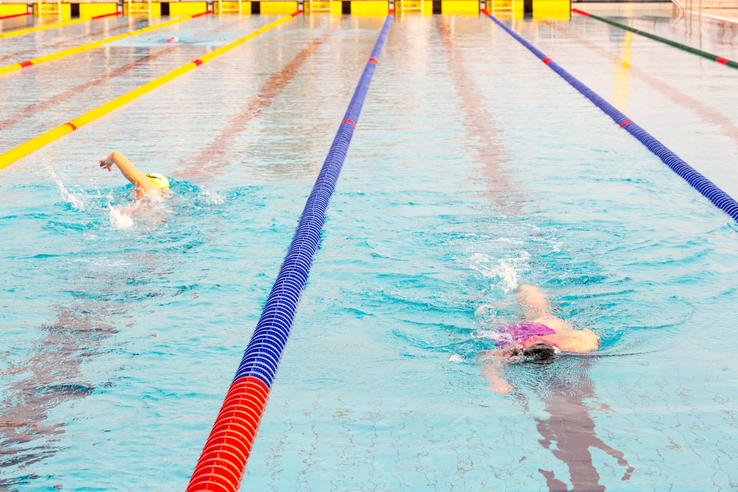 campionat european inot in ape inghetate oradea (35)