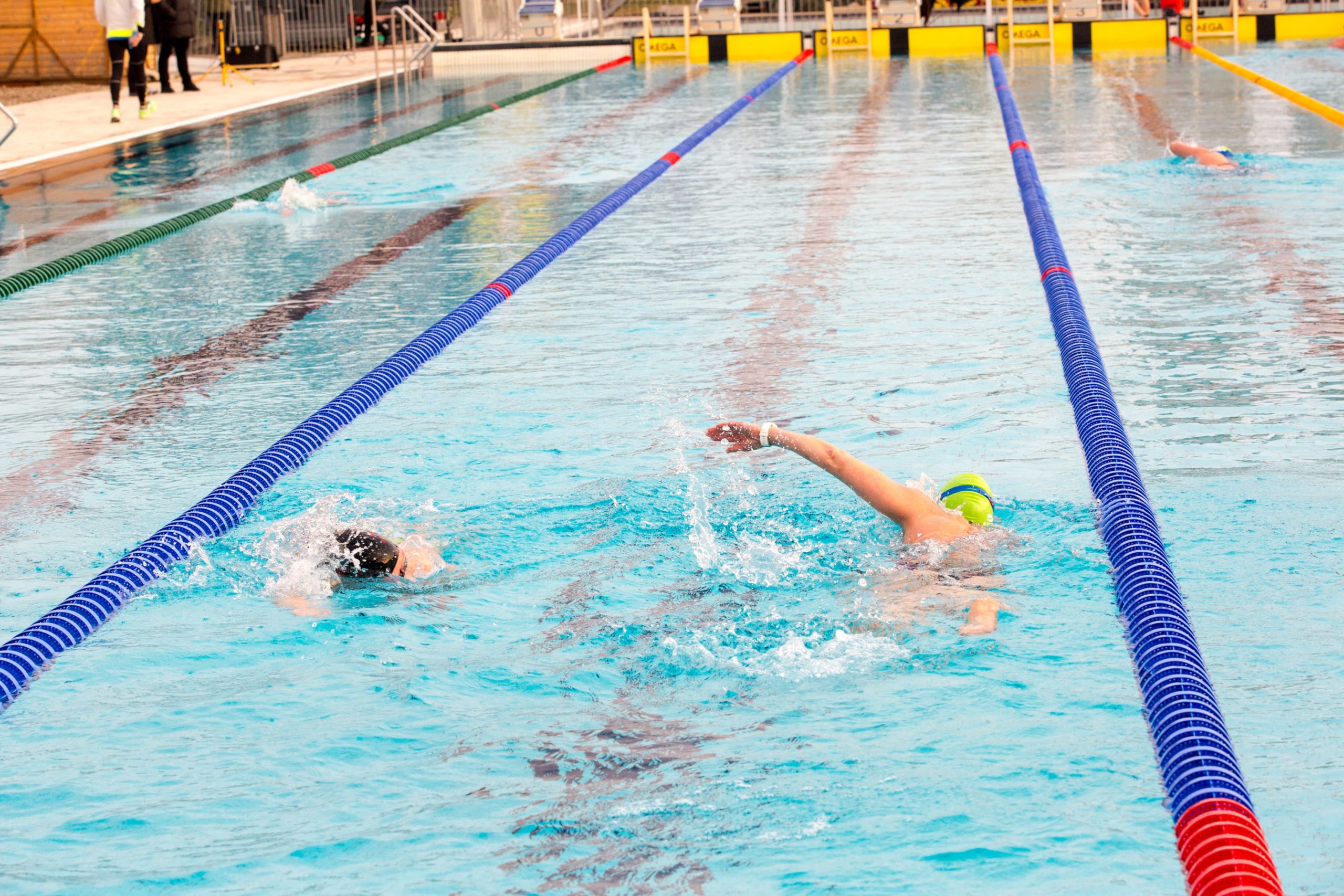 campionat european inot in ape inghetate oradea (39)