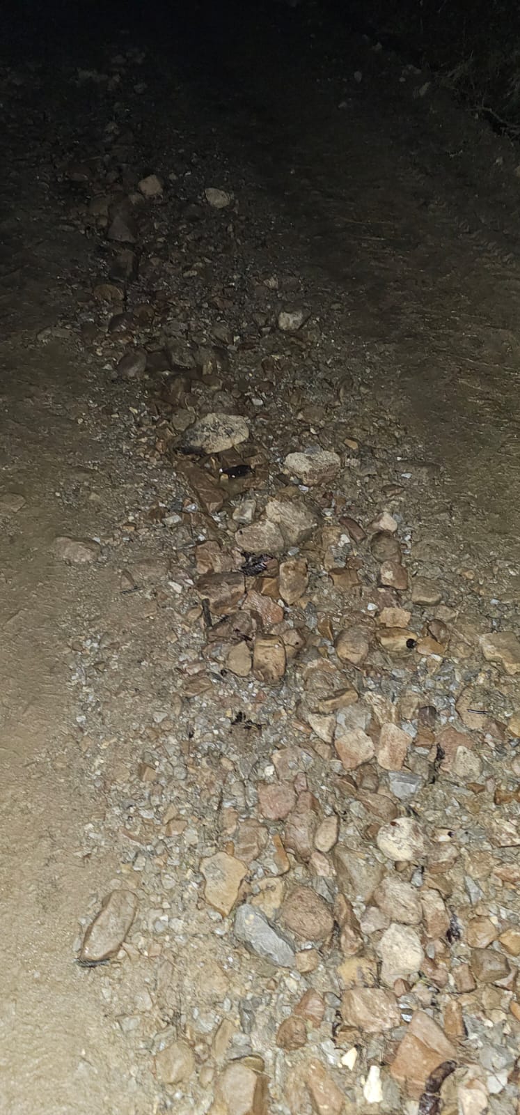 WhatsApp Image 2024-01-31 at 09.55.14 (1)