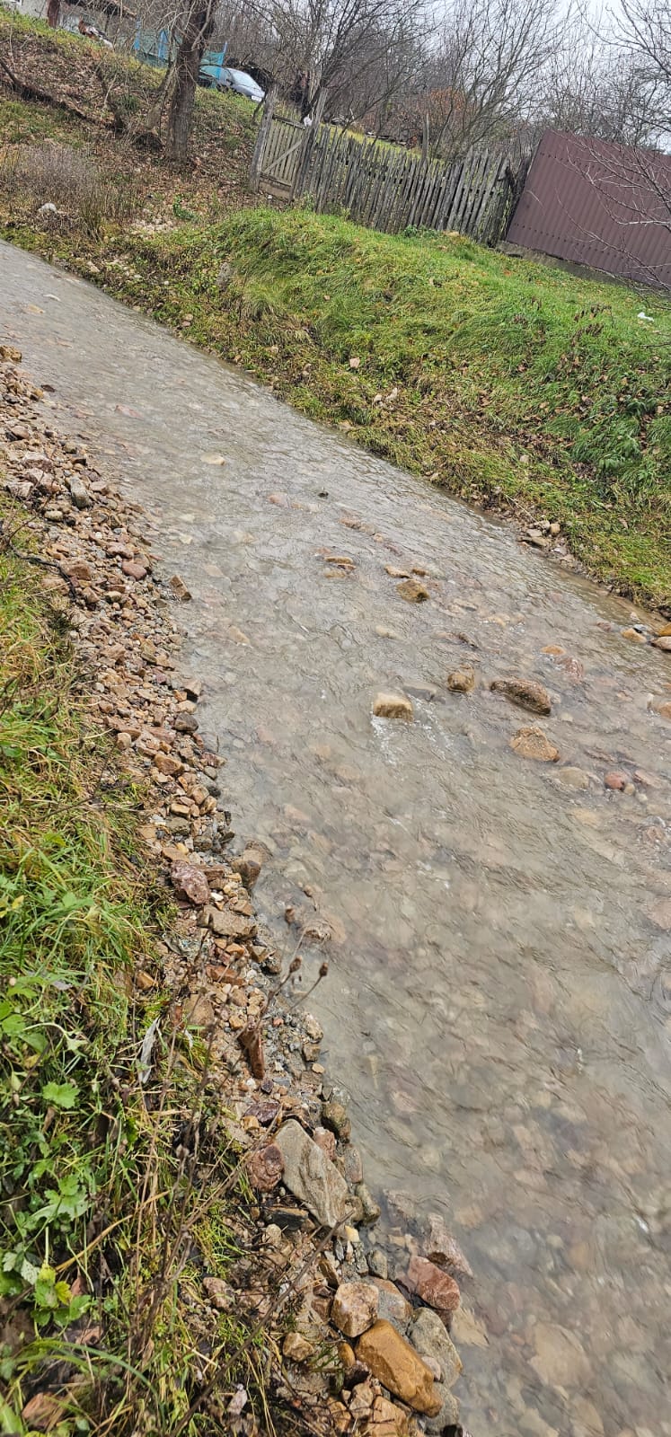 WhatsApp Image 2024-01-31 at 09.55.15 (2)