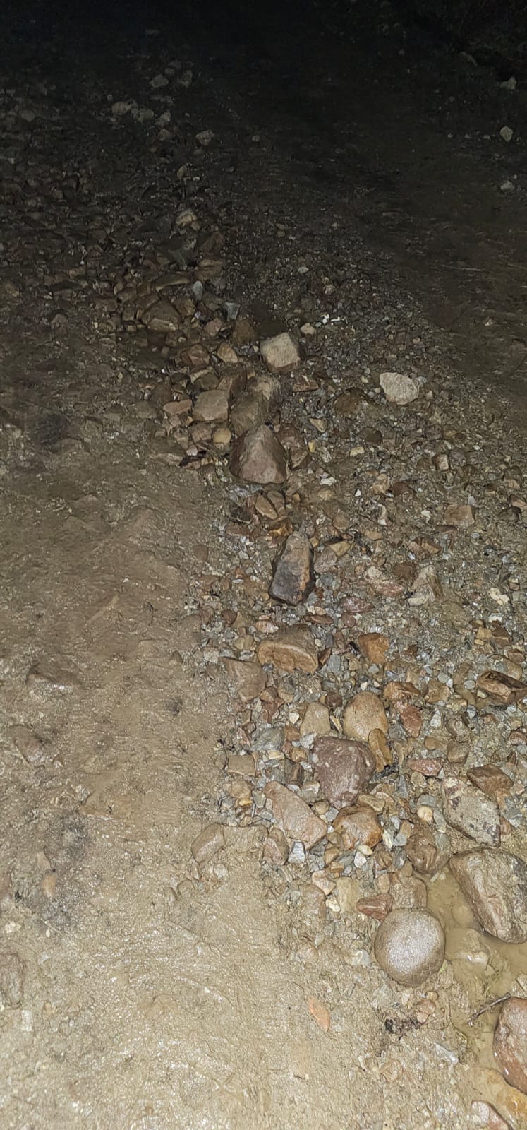 WhatsApp Image 2024-01-31 at 09.55.15