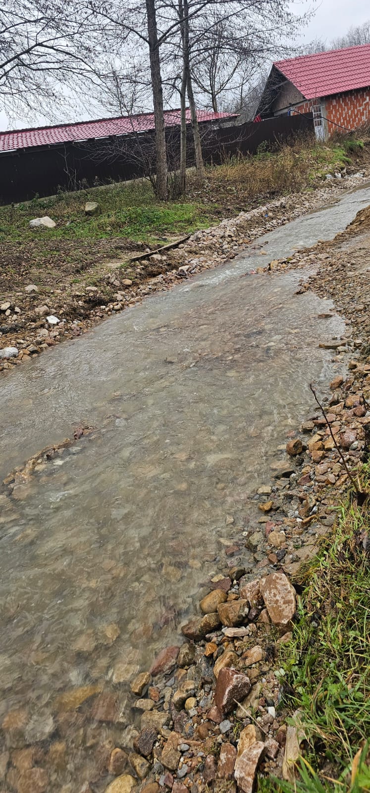 WhatsApp Image 2024-01-31 at 09.55.19