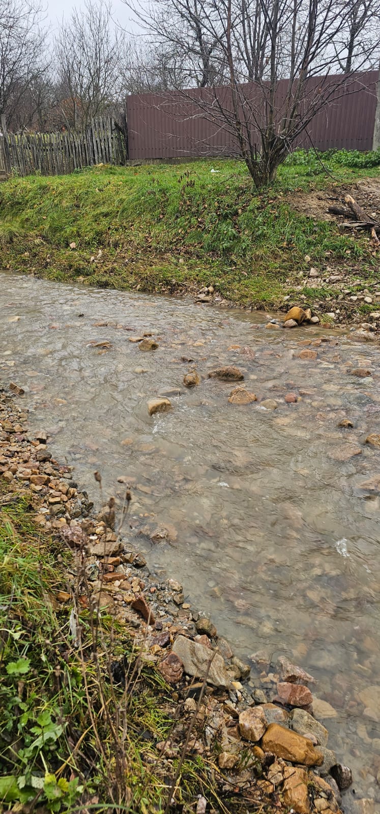 WhatsApp Image 2024-01-31 at 09.55.20 (1)