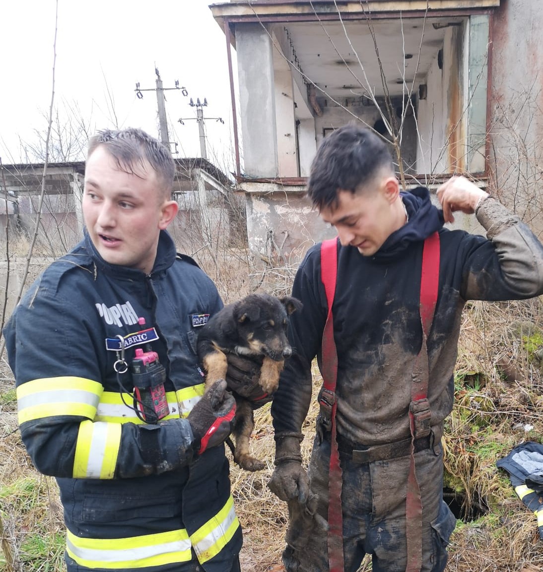 Cățel salvat de pompieri, în Șuncuiuș FOTO: ISU