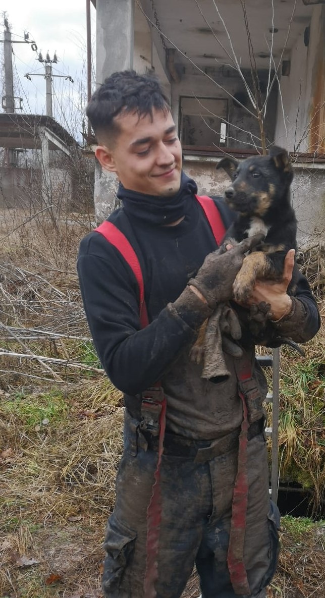 ISU catel suncius (9)