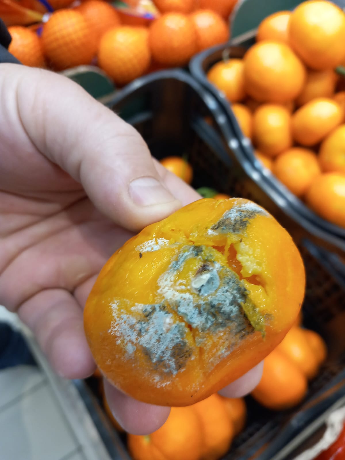 WhatsApp Image 2024-02-08 at 19.41.49 (1)