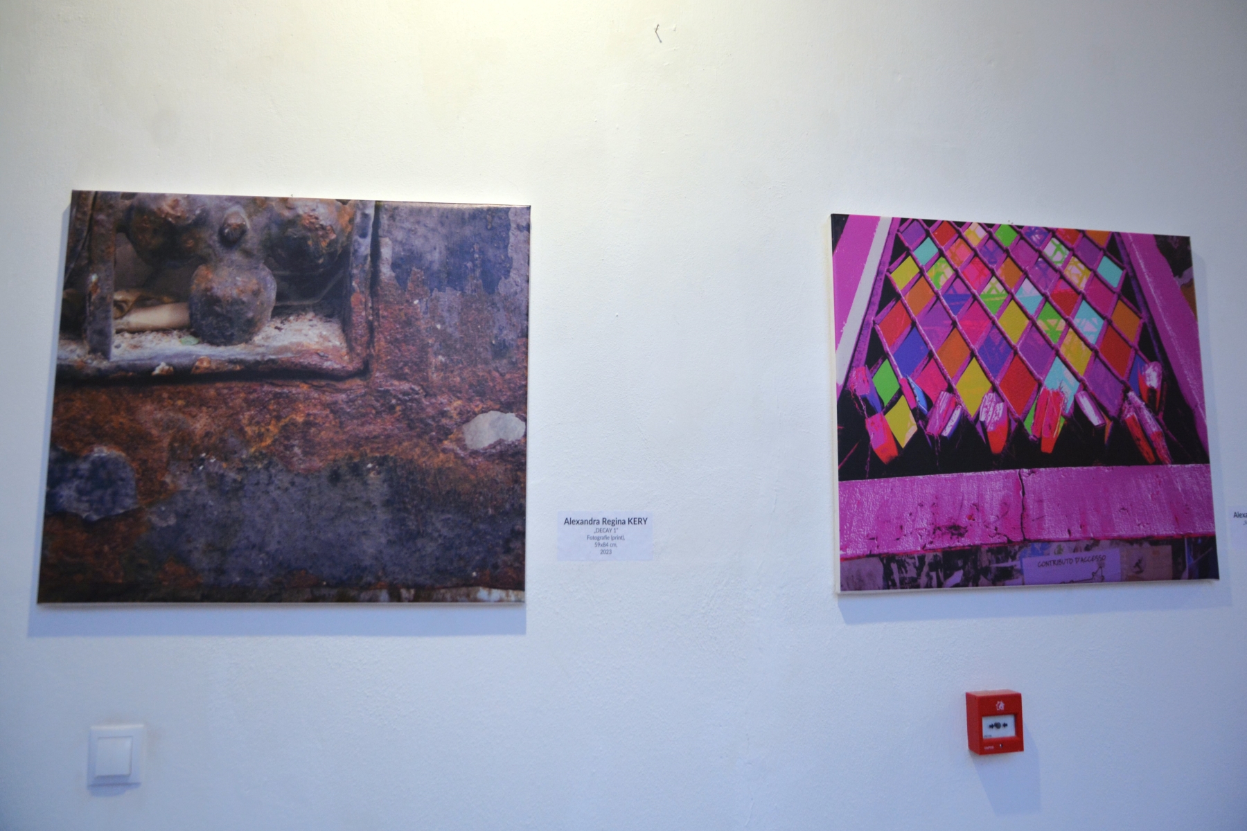 Expoziţia Generic vizual (1)