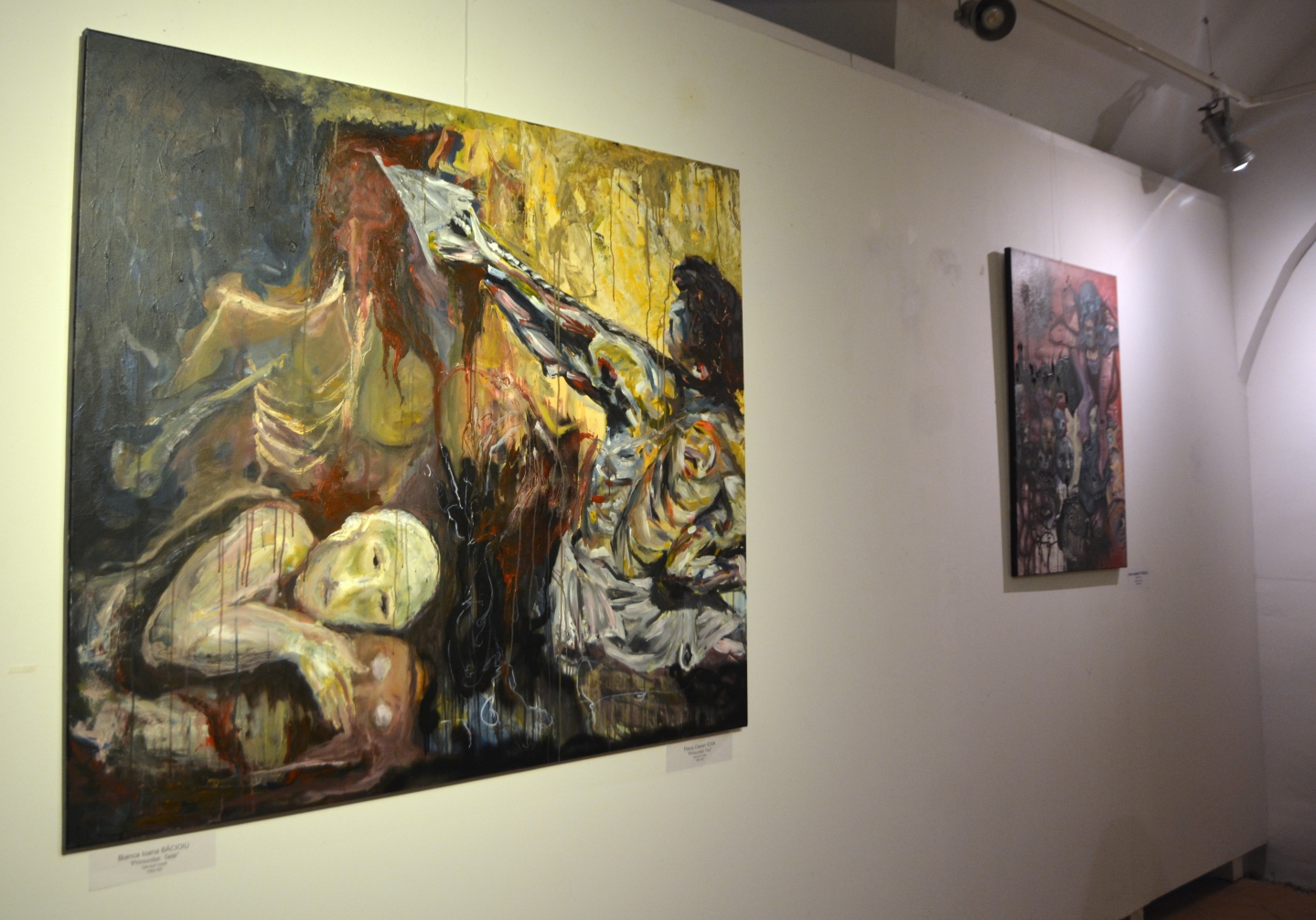 Expoziţia Generic vizual (6)