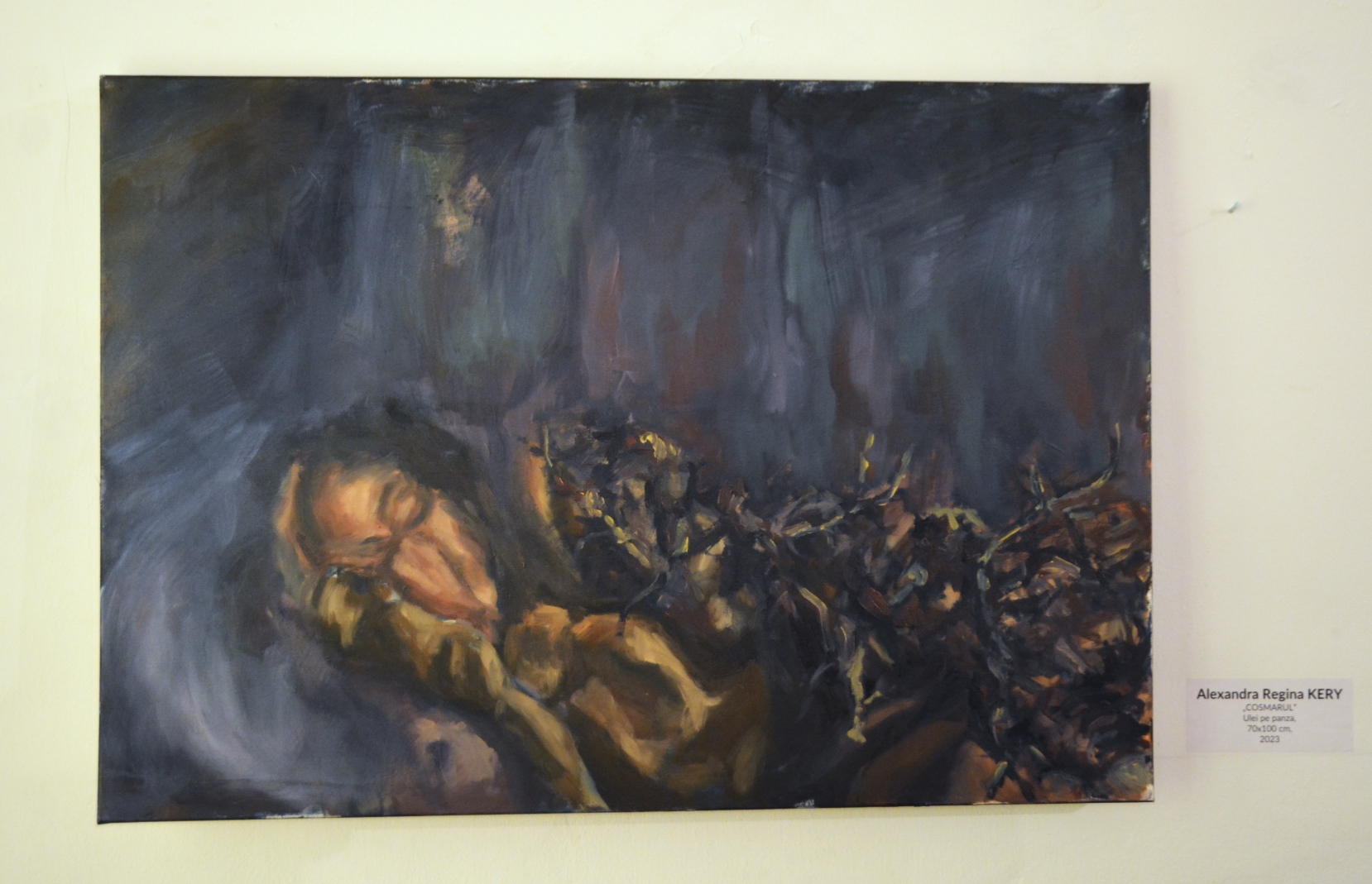 Expoziţia Generic vizual (9)