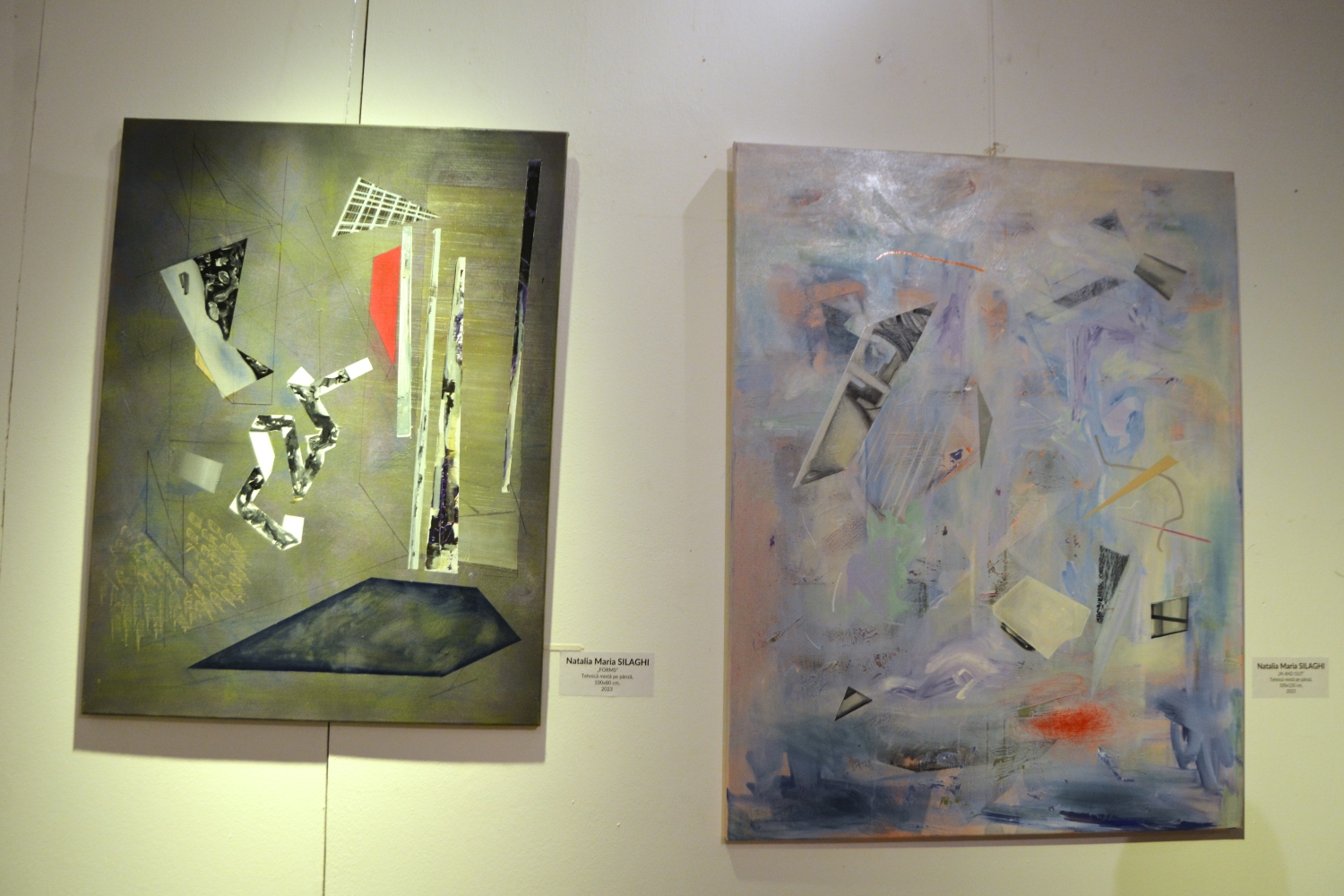 Expoziţia Generic vizual (11)