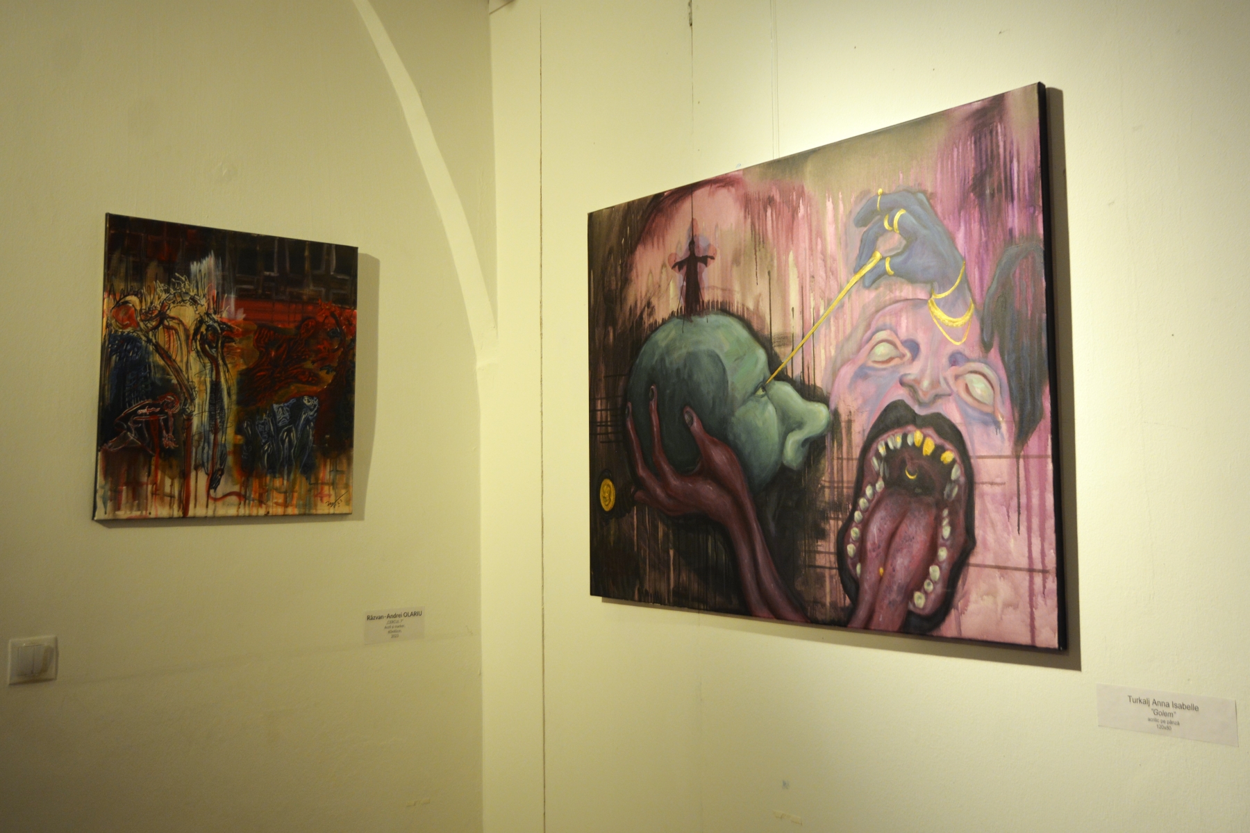 Expoziţia Generic vizual (22)