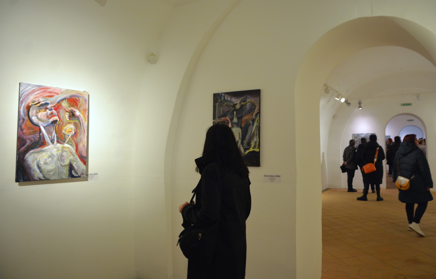 Expoziţia Generic vizual (23)