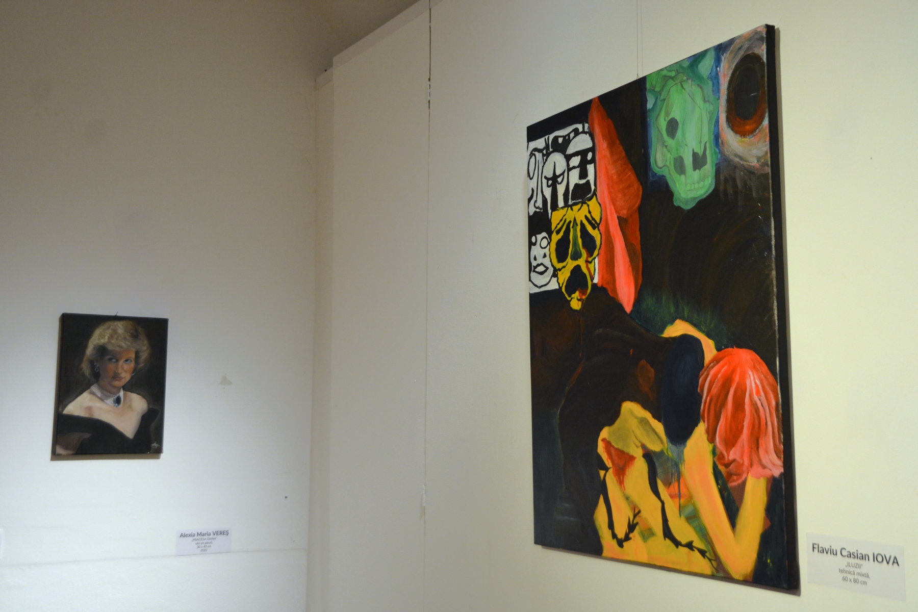 Expoziţia Generic vizual (34)