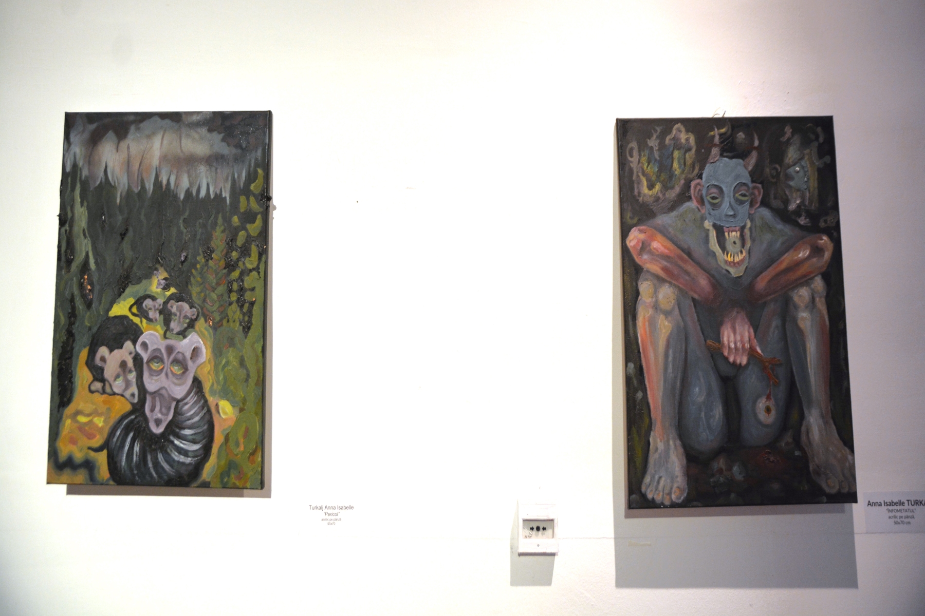 Expoziţia Generic vizual (38)