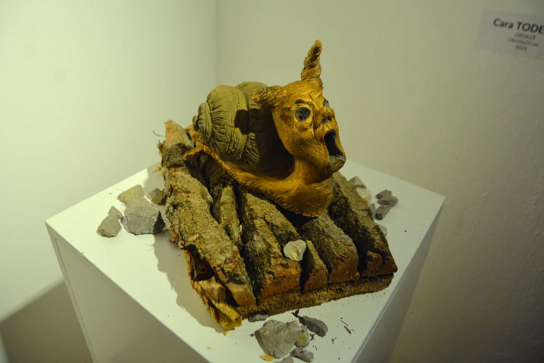 Expoziţia Generic vizual (62)