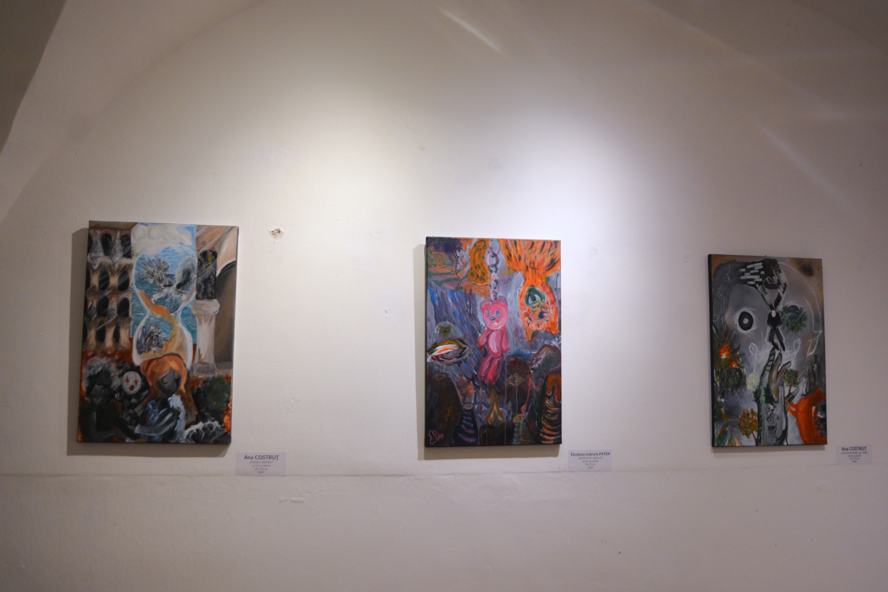 Expoziţia Generic vizual (63)