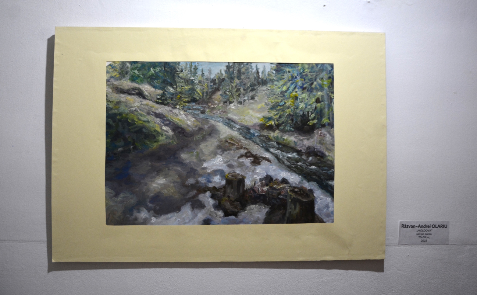 Expoziţia Generic vizual (69)