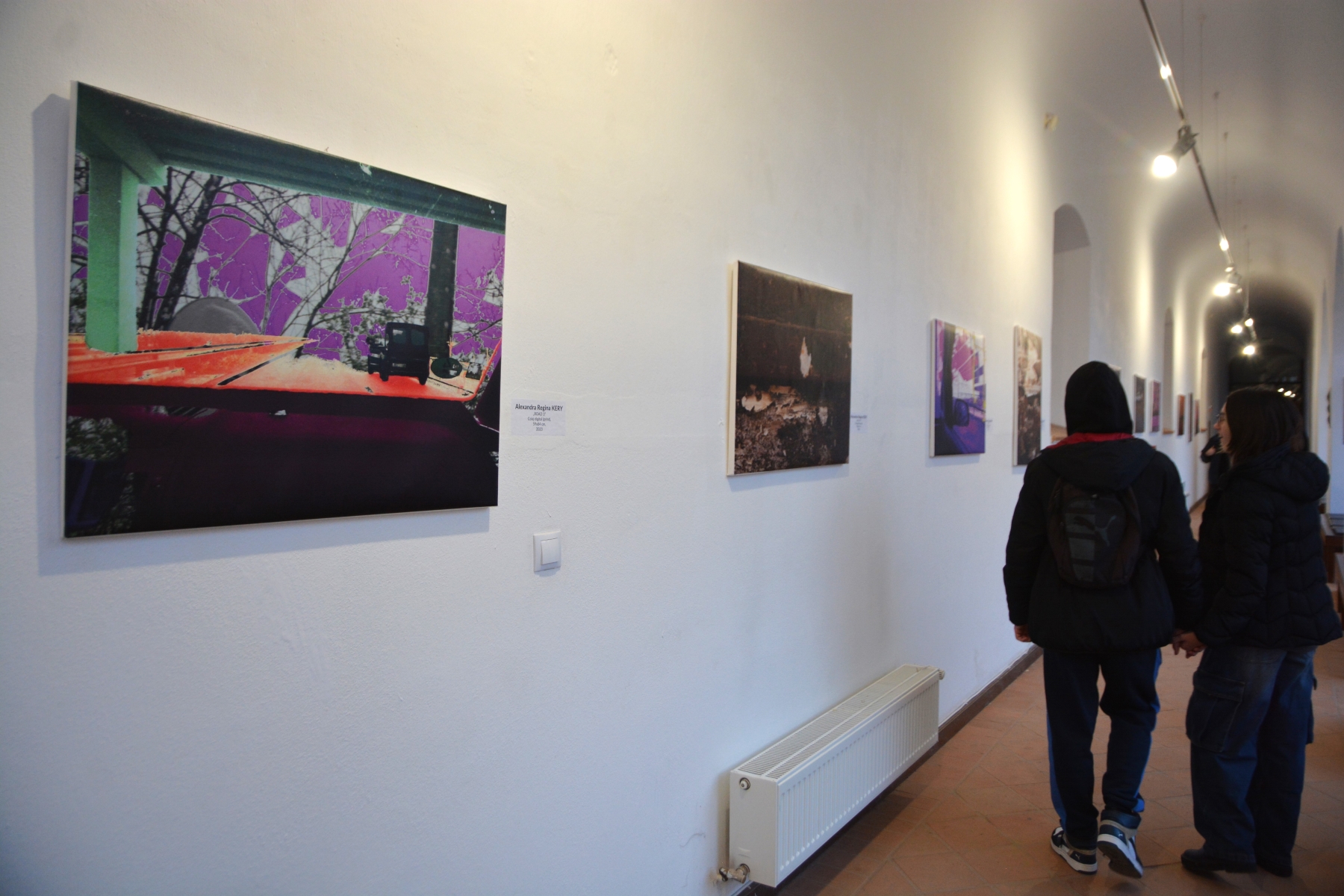 Expoziţia Generic vizual (73)