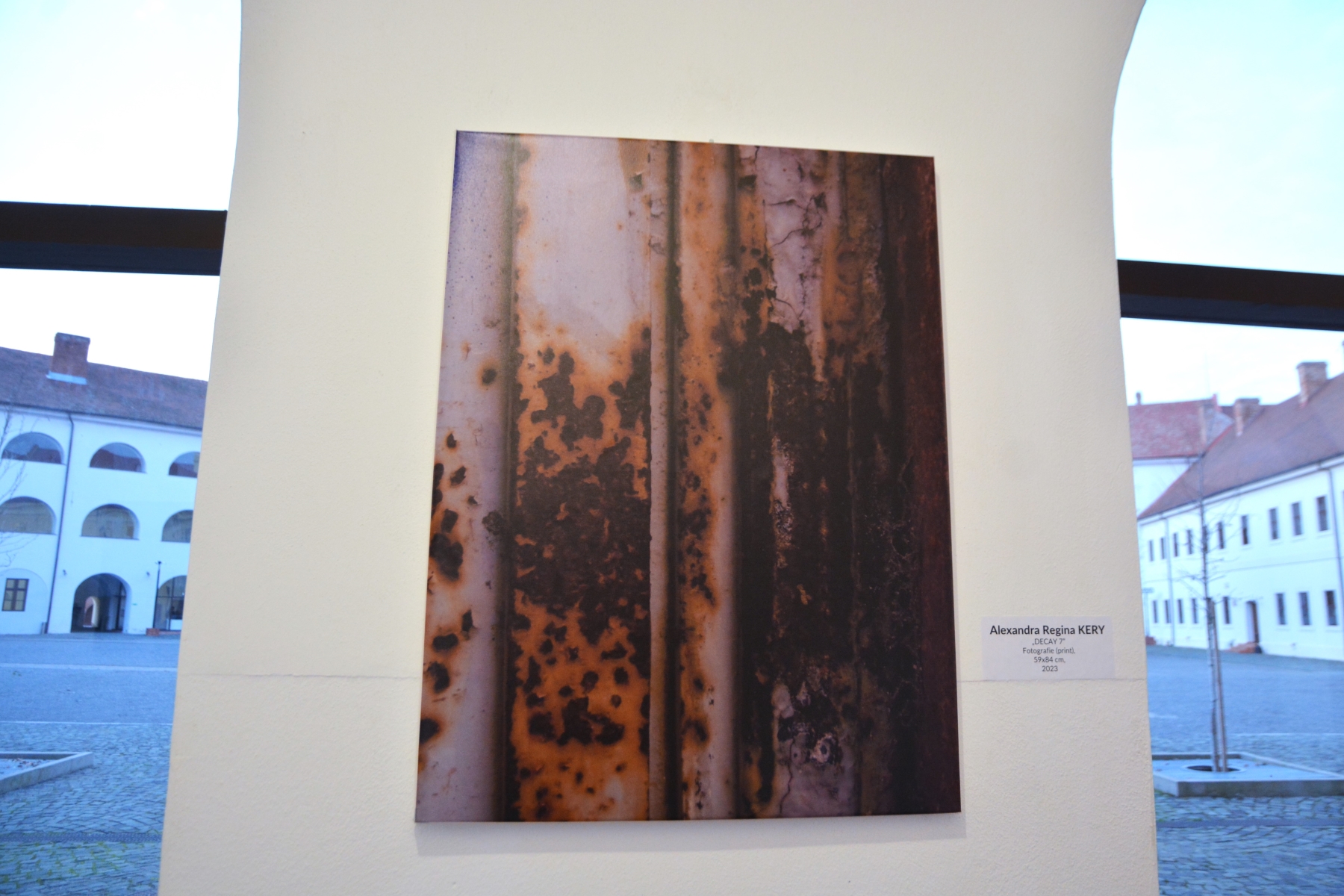 Expoziţia Generic vizual (74)