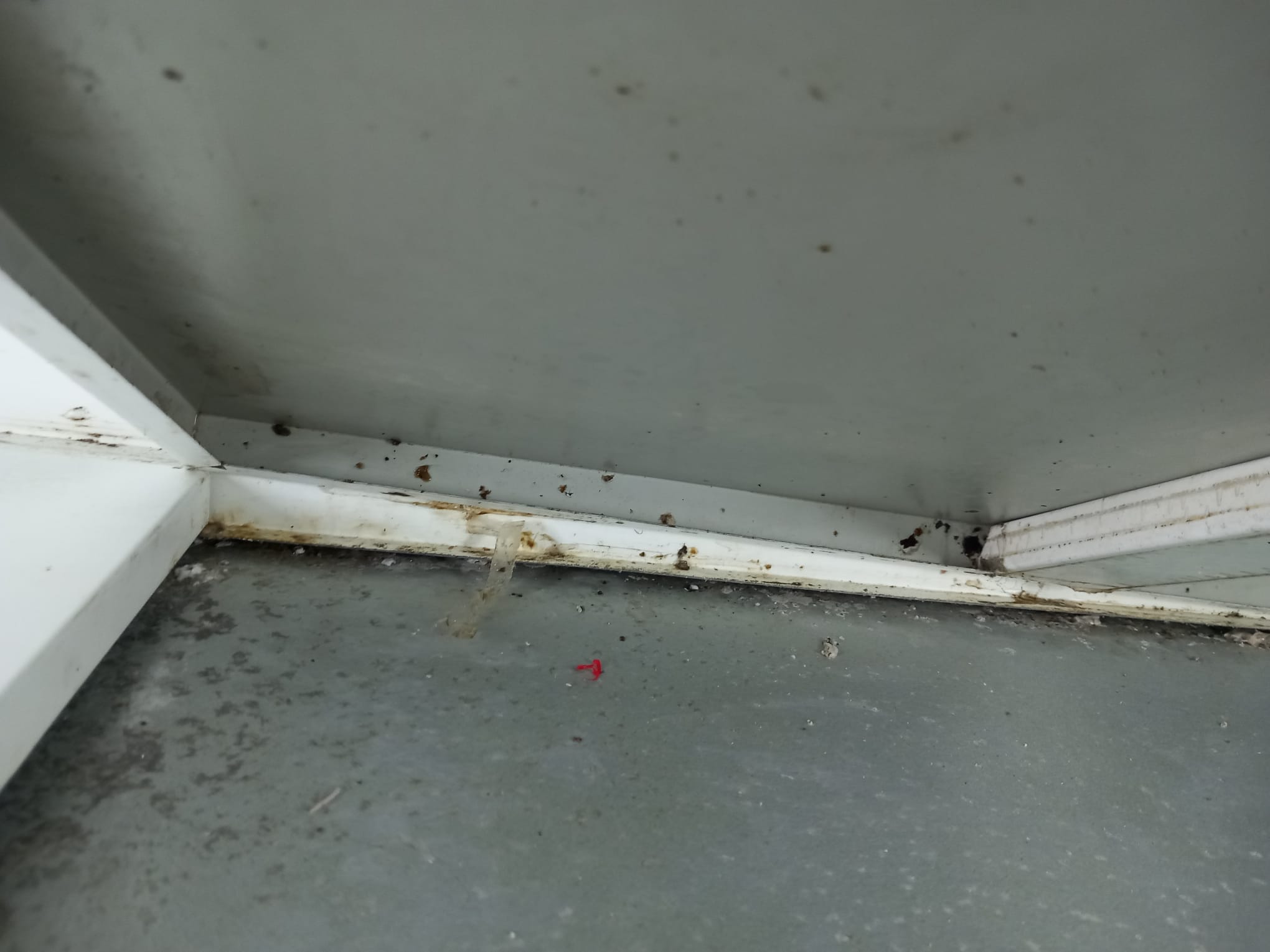 WhatsApp Image 2024-02-14 at 16.12.35