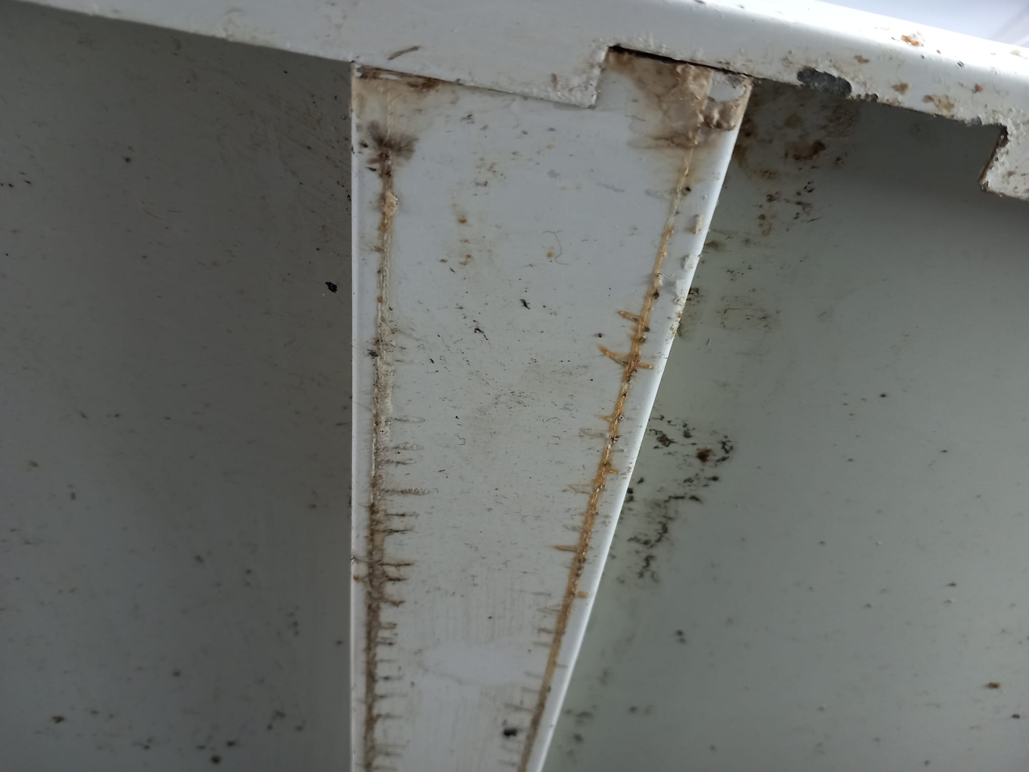 WhatsApp Image 2024-02-14 at 16.12.35 (1)