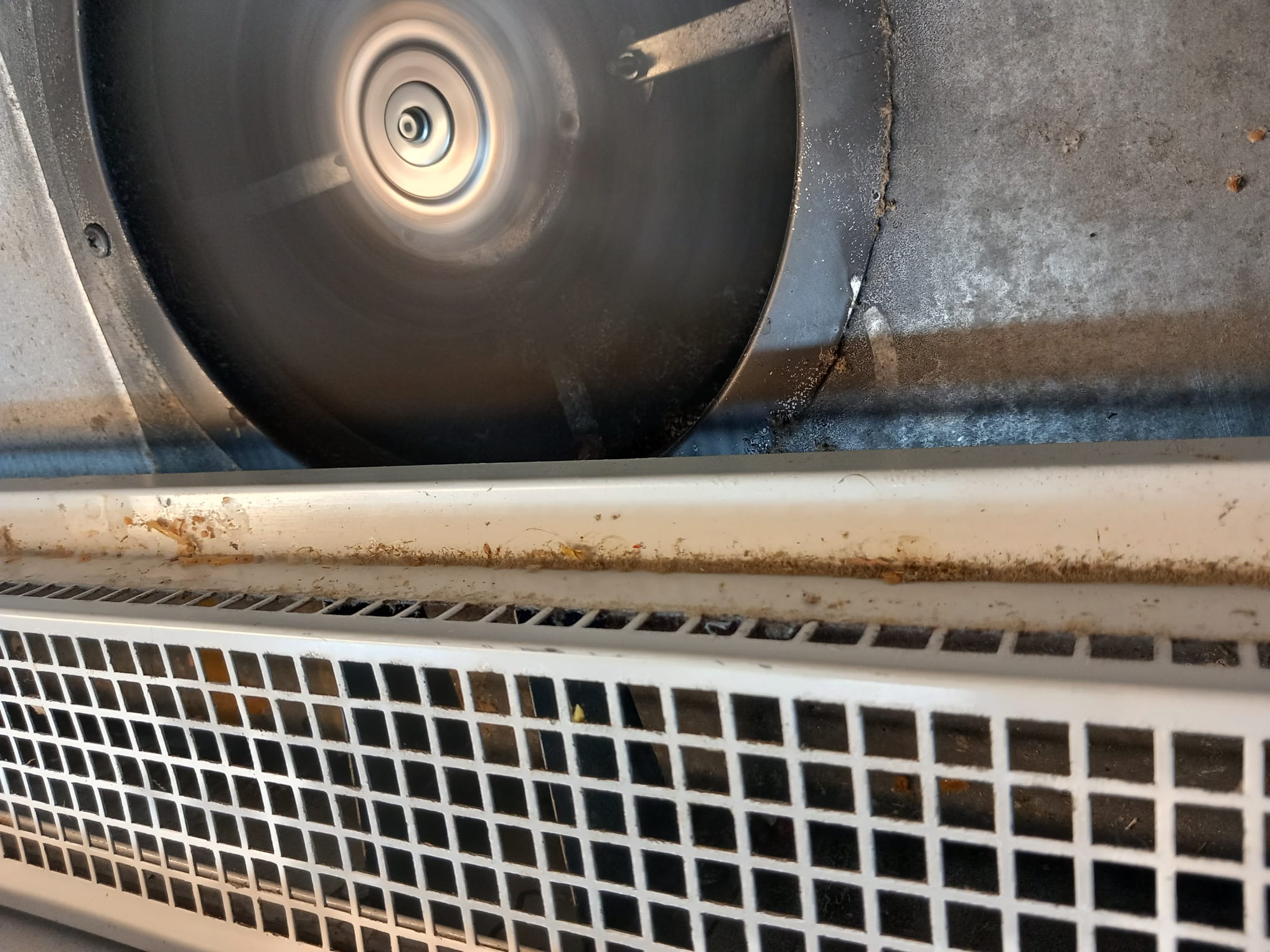 WhatsApp Image 2024-02-14 at 16.12.34