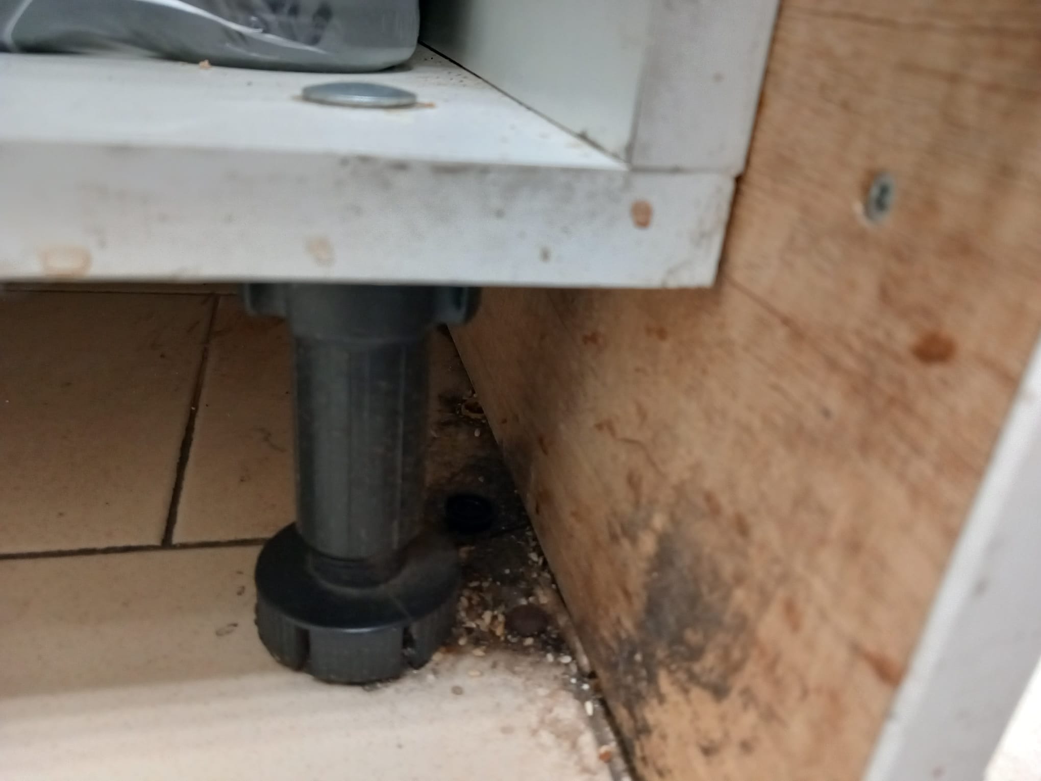 WhatsApp Image 2024-02-14 at 16.12.31 (2)