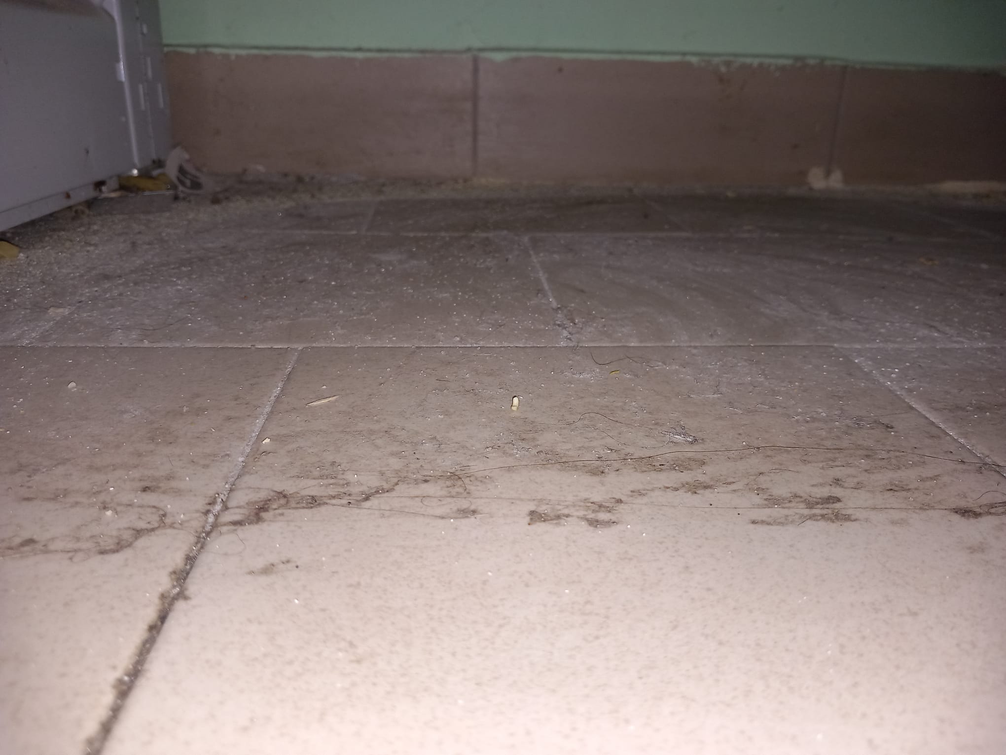 WhatsApp Image 2024-02-14 at 16.12.30