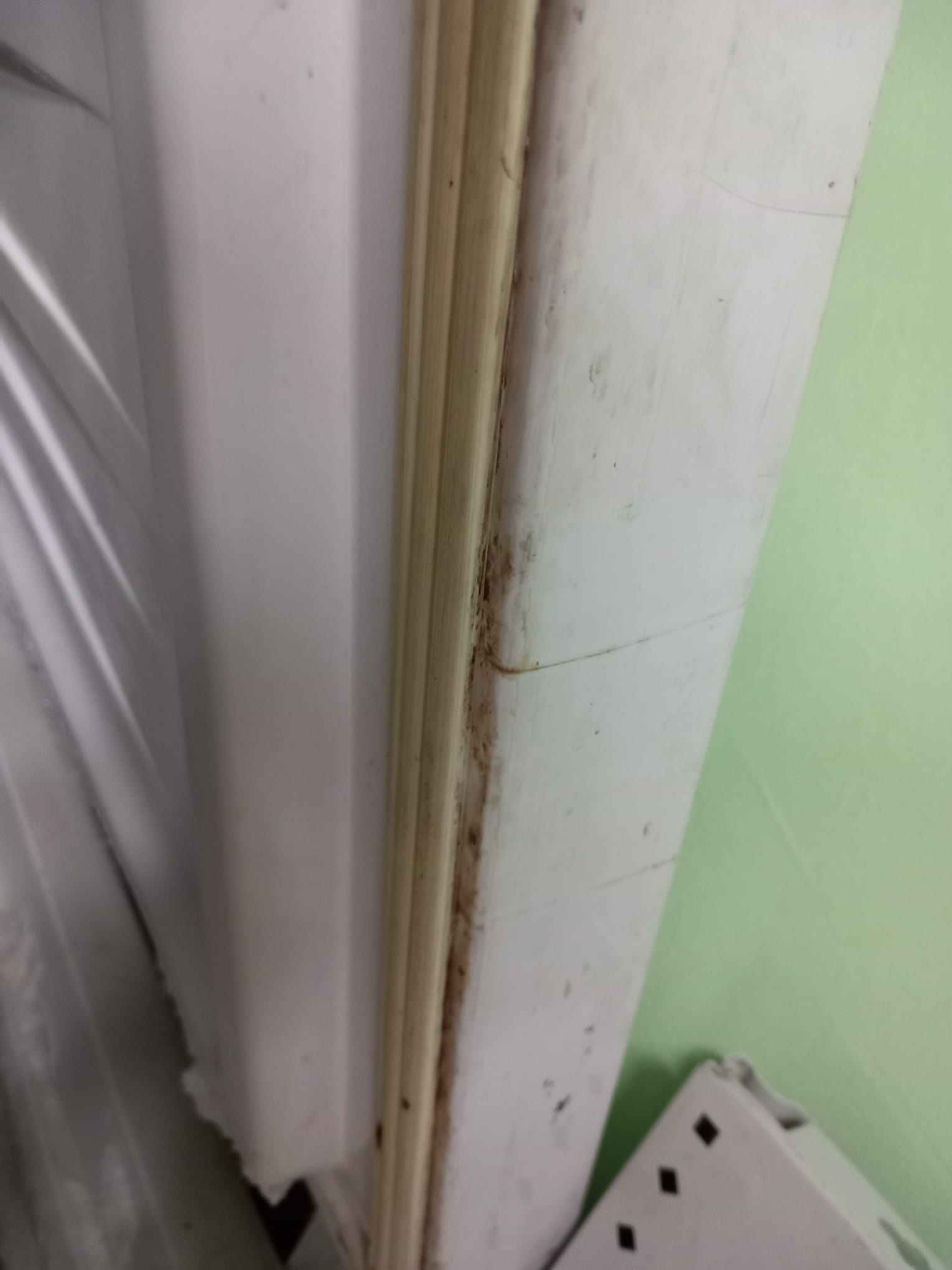 WhatsApp Image 2024-02-14 at 16.12.29