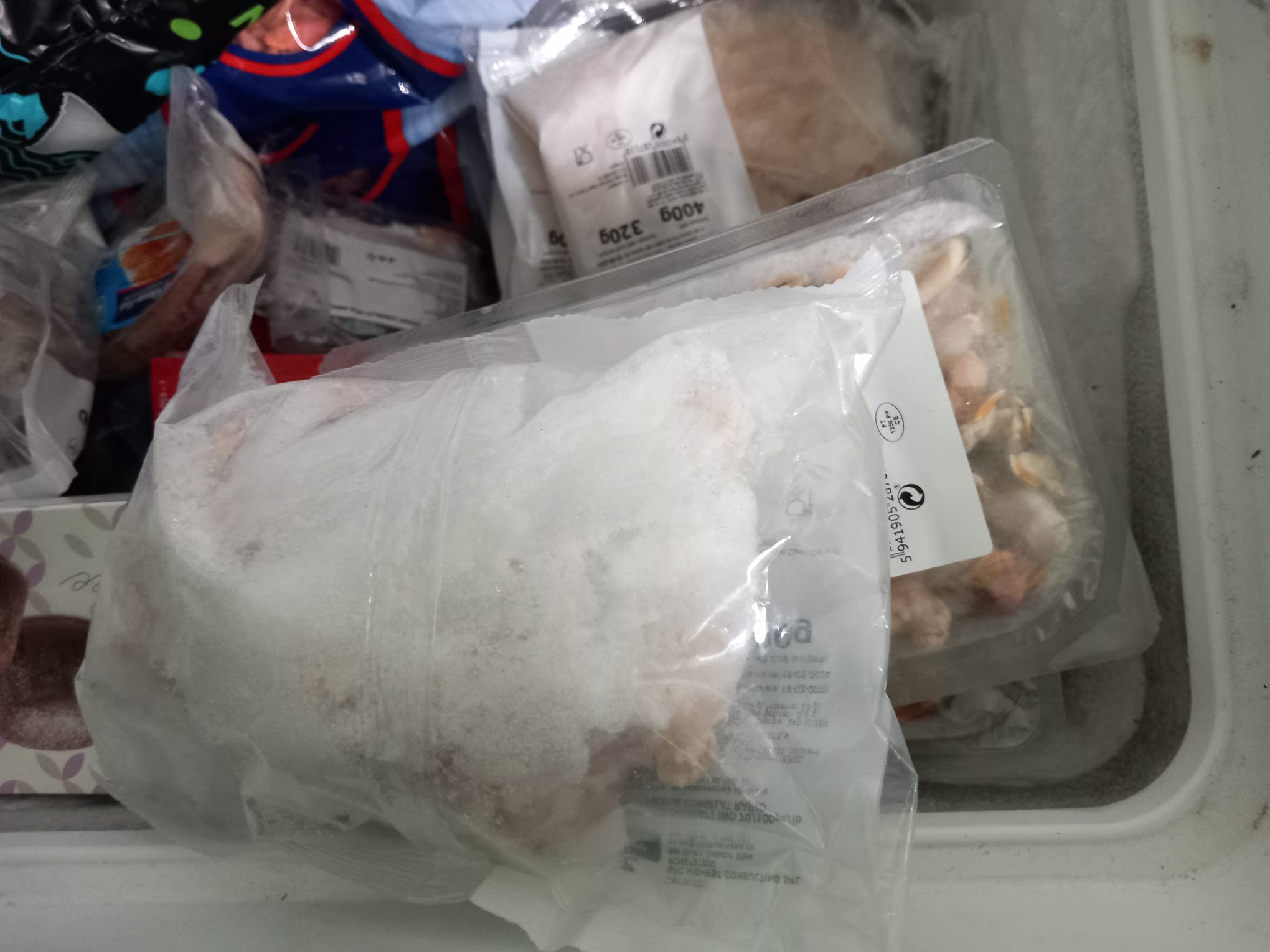 WhatsApp Image 2024-02-14 at 16.12.28