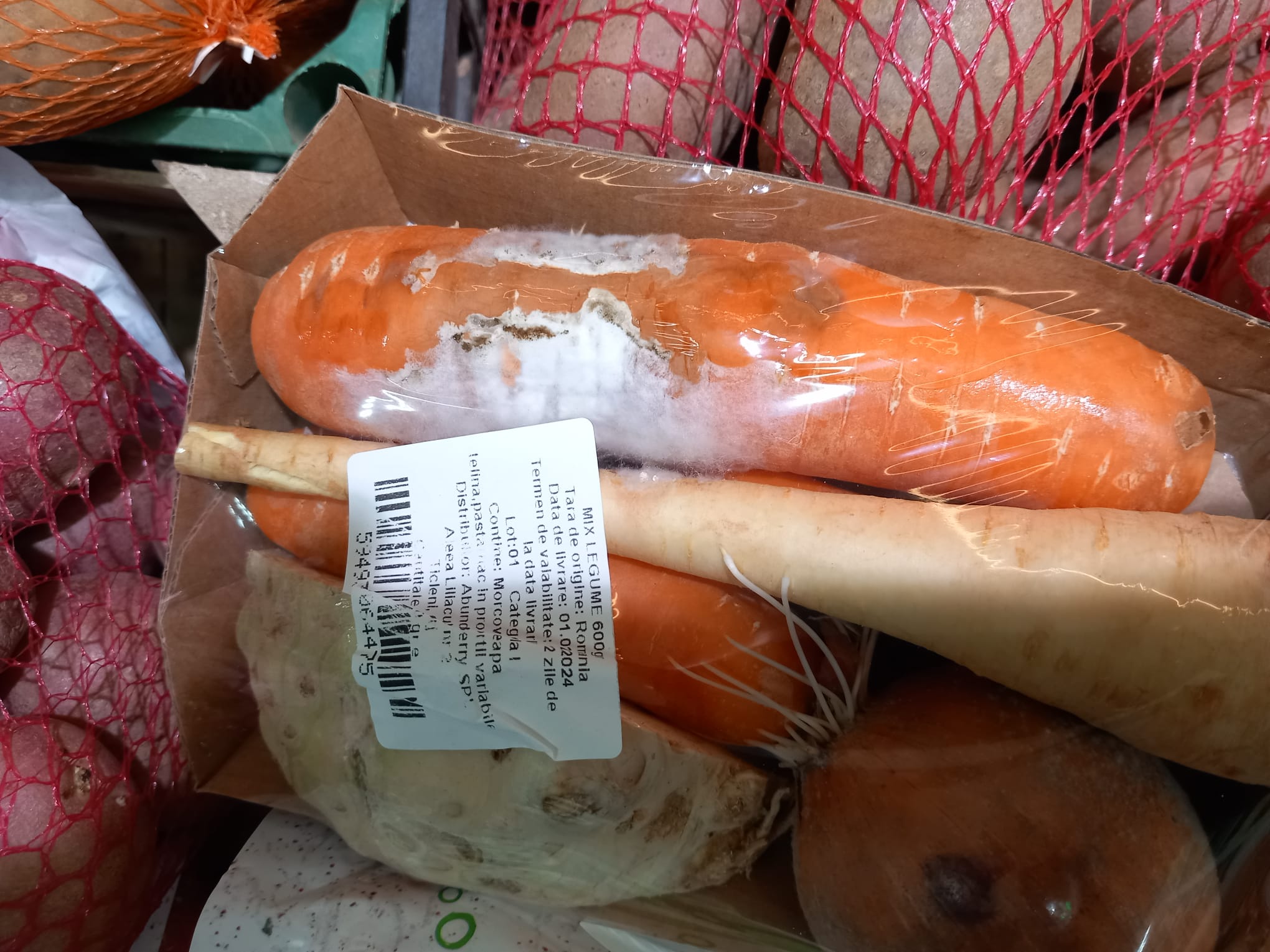 WhatsApp Image 2024-02-14 at 16.12.28 (1)