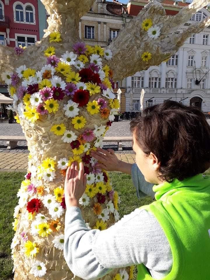 Sorina Iagăr florist, Beiuş (13)