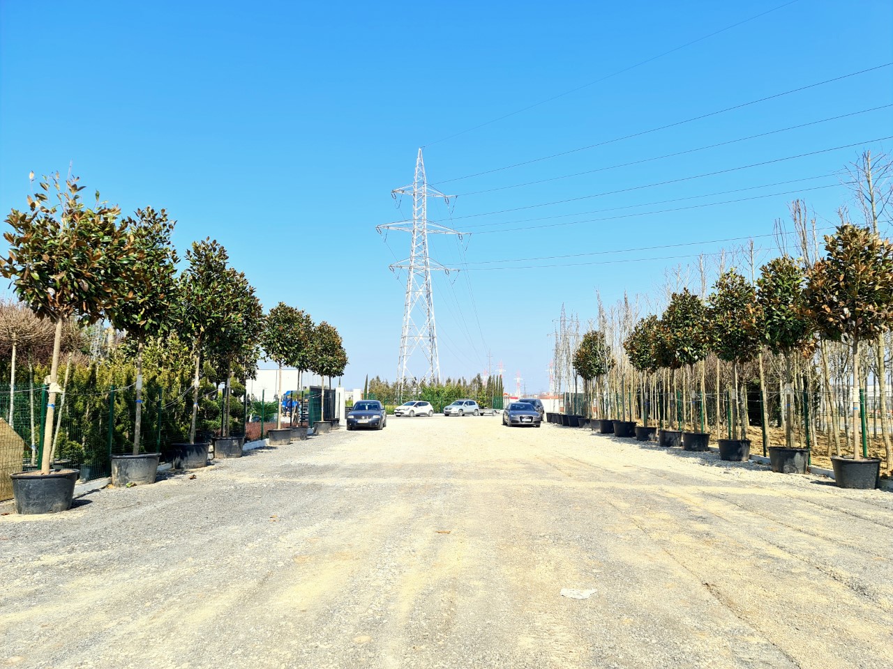 7195679thumbnail20210327112843