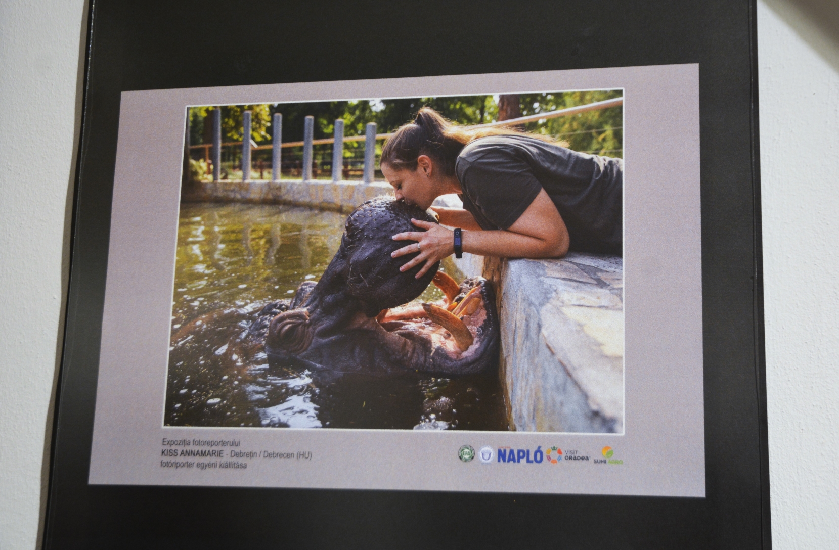 Expozitia fotoreporterilor din euroregiune (30)