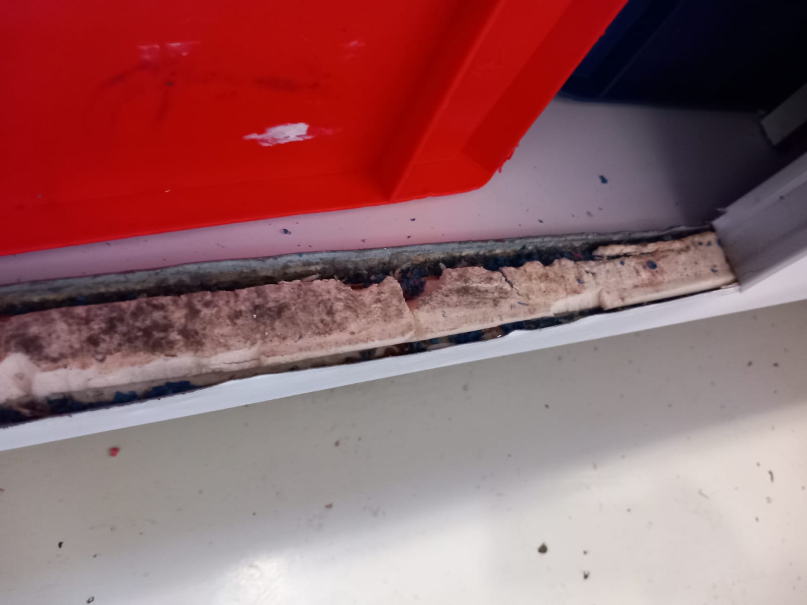 WhatsApp Image 2024-02-27 at 11.36.14 (7)