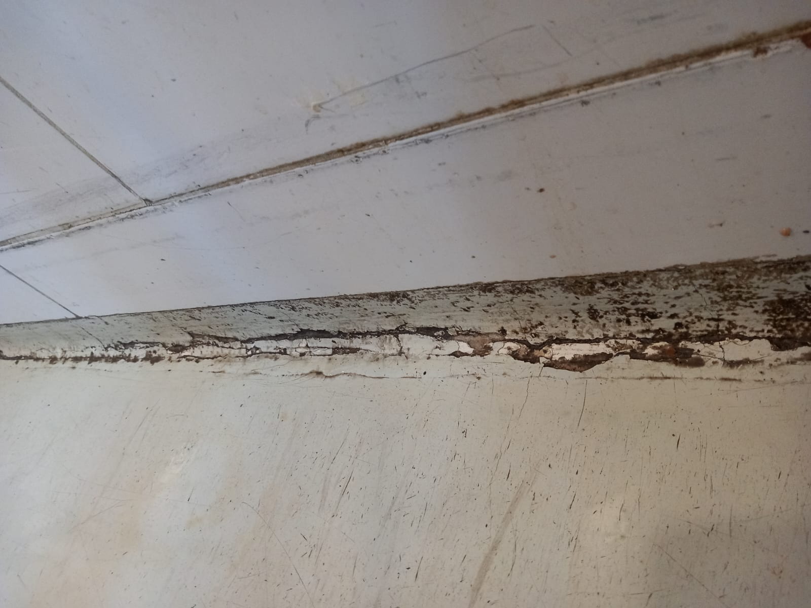 WhatsApp Image 2024-02-27 at 11.36.14