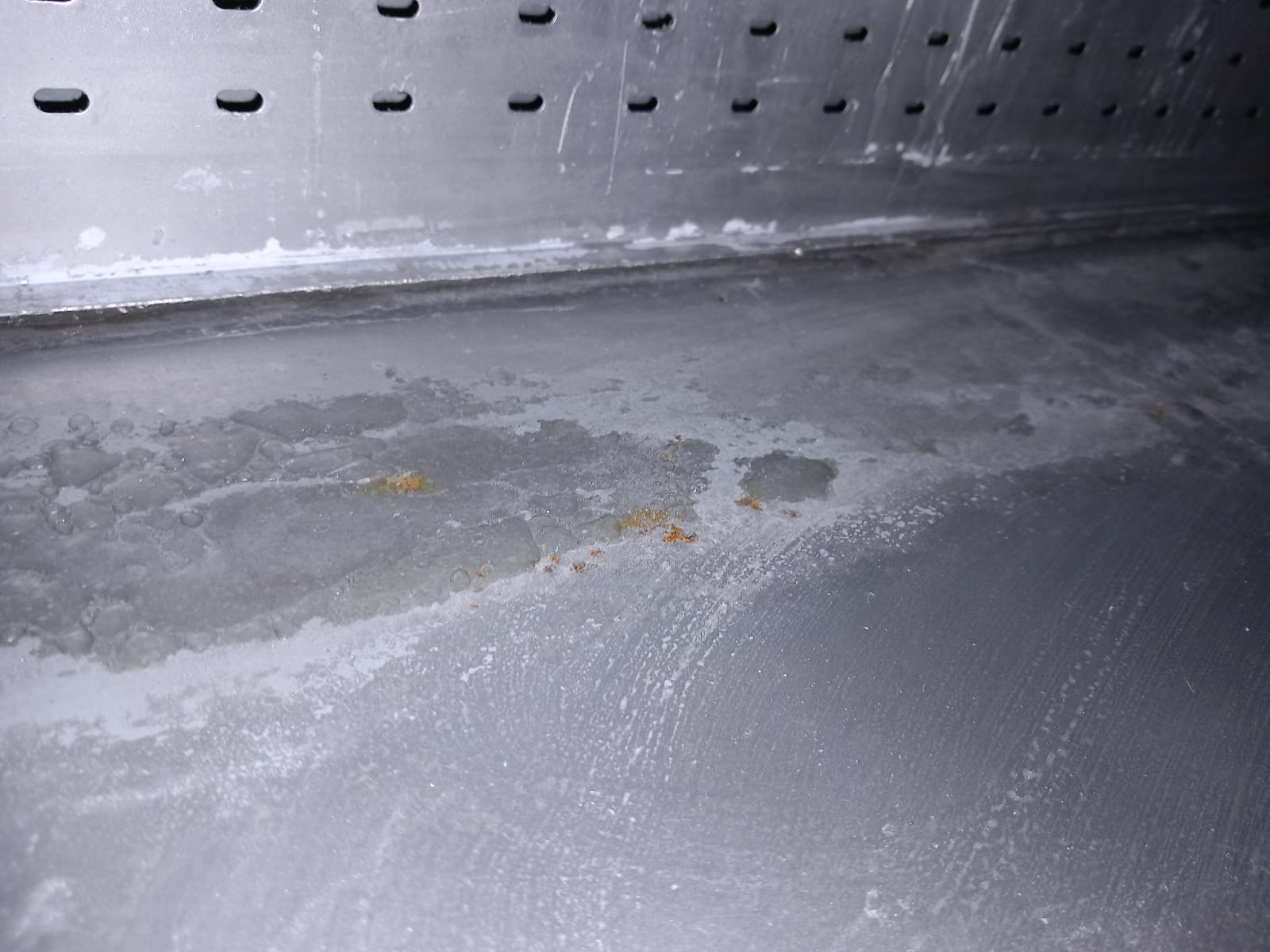 WhatsApp Image 2024-02-27 at 11.36.13 (6)