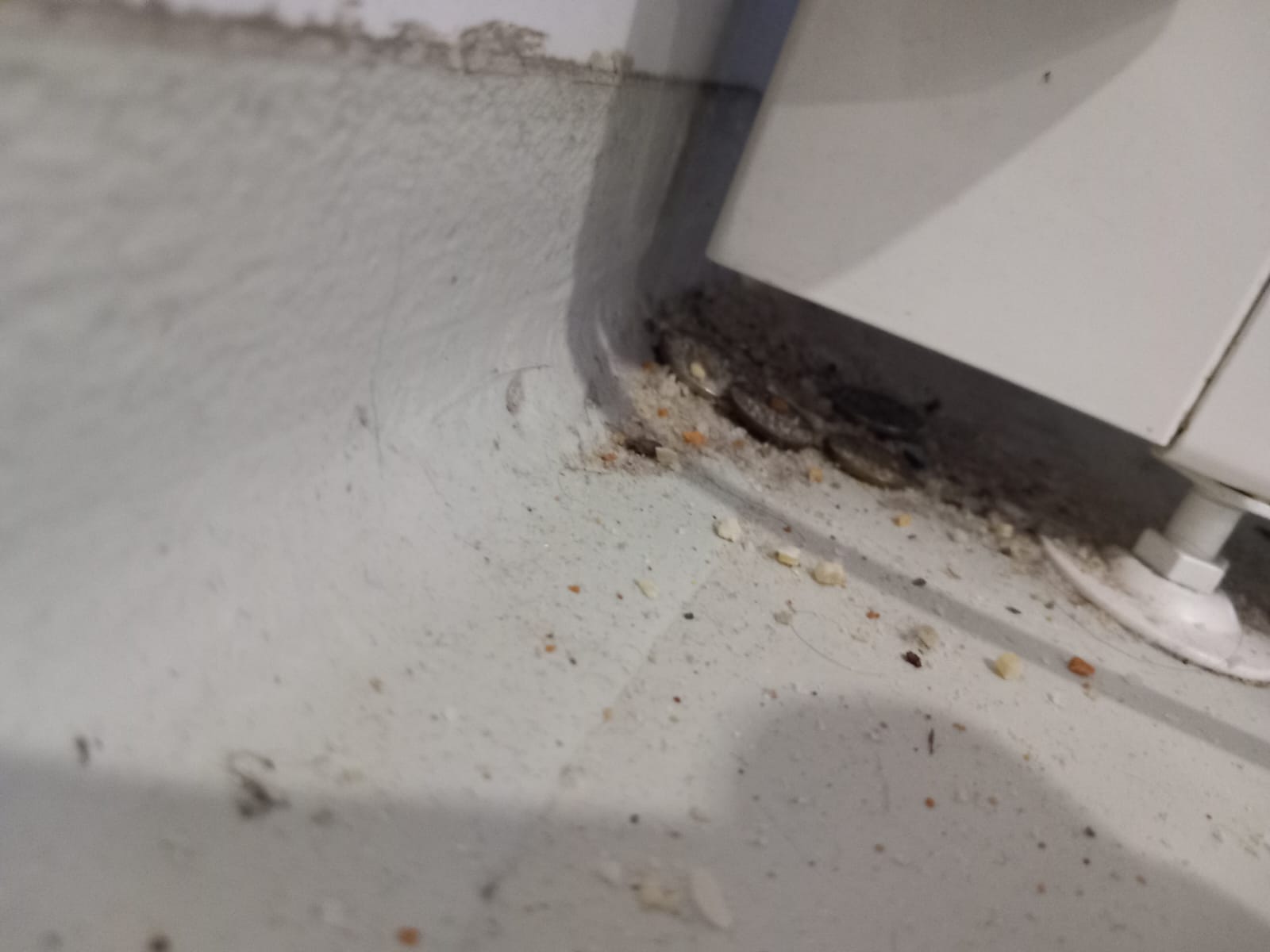 WhatsApp Image 2024-02-27 at 11.36.13 (4)