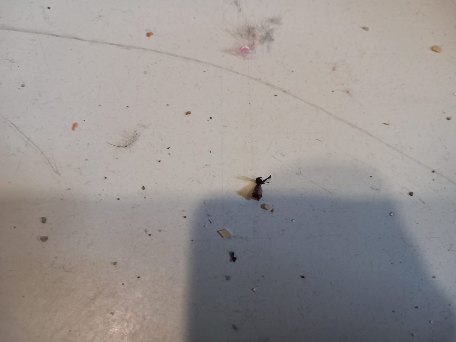 WhatsApp Image 2024-02-27 at 11.36.13 (1)