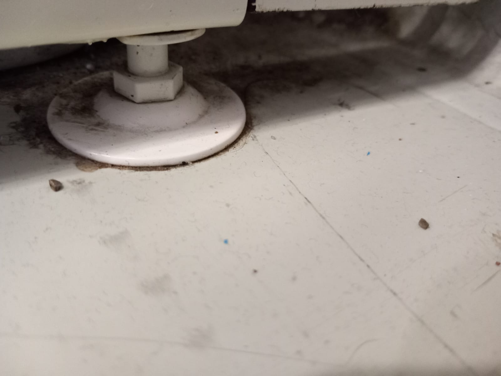 WhatsApp Image 2024-02-27 at 11.36.12 (6)