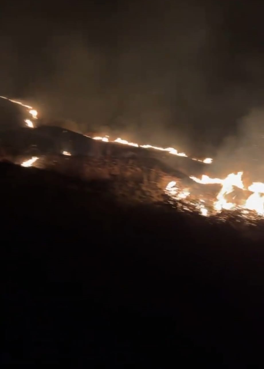 incendii vegetatie ISU amenda 