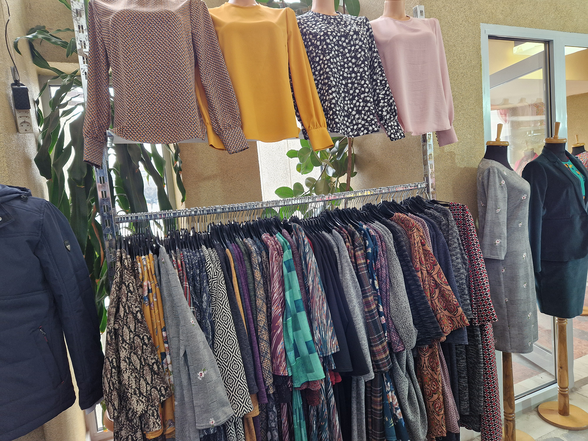 targ cavi oradea (20)