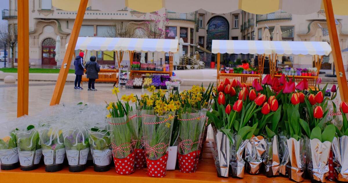 Piata Flora Mărţişorul şi Ziua Femeii generează un record istoric de vânzări pe ...