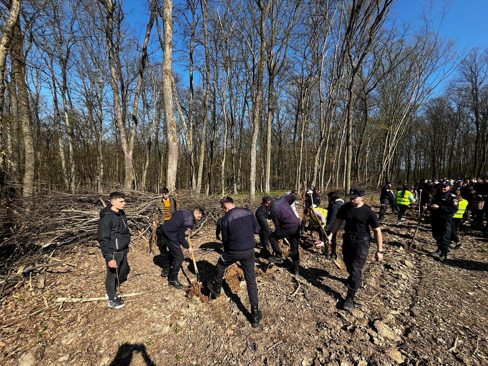 6cb97743-ab8e-4da5-83ec-e7c377fcf26f