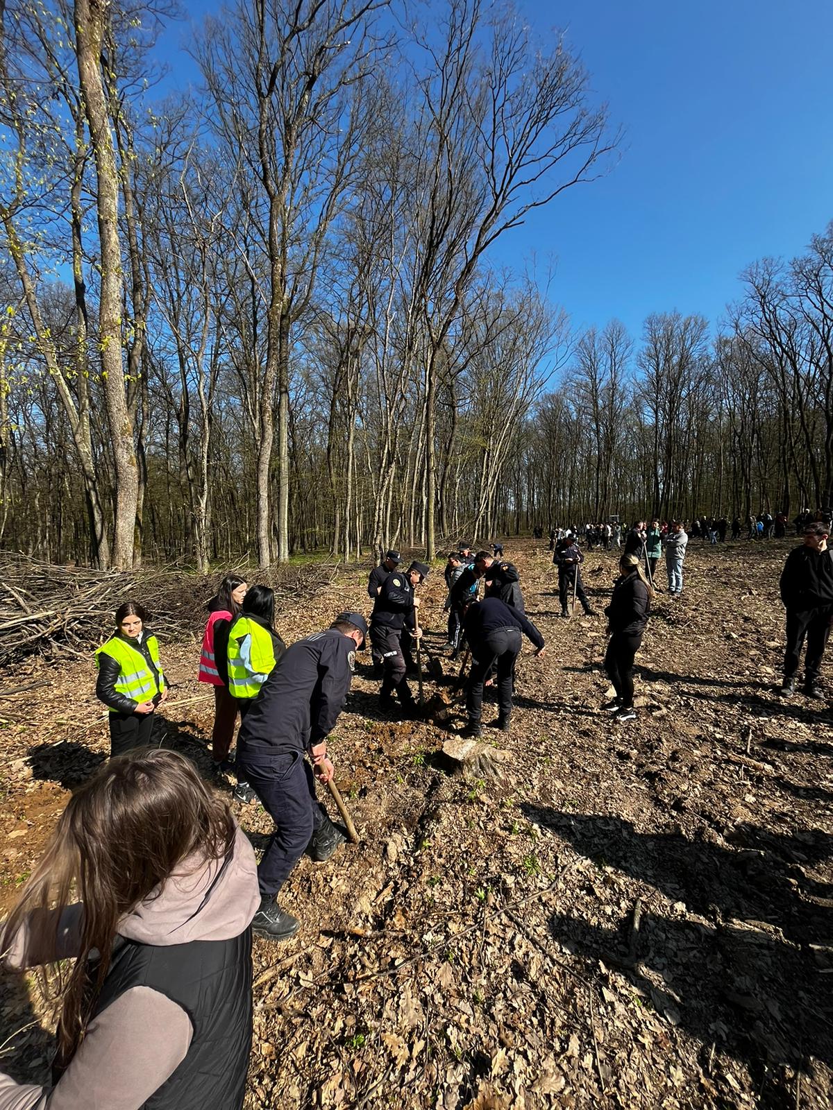 30728e63-5746-46bc-8eb0-c2756097f89f