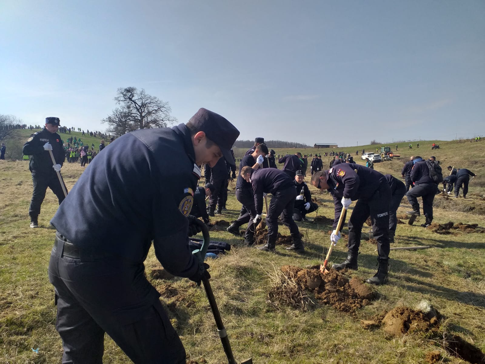 54c2da50-af65-49fd-87e4-a05271bebfd3