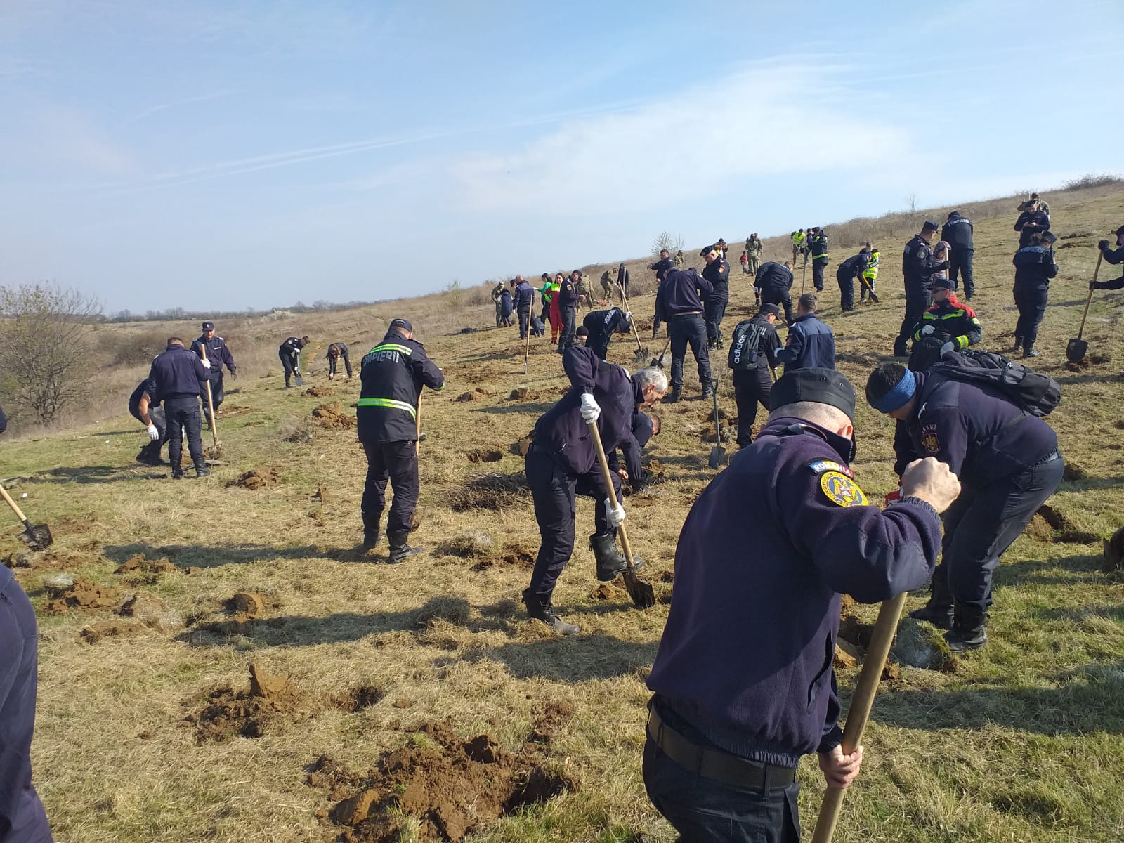 f31ab87c-e8b1-4060-8838-e6ce4c6c1ddb