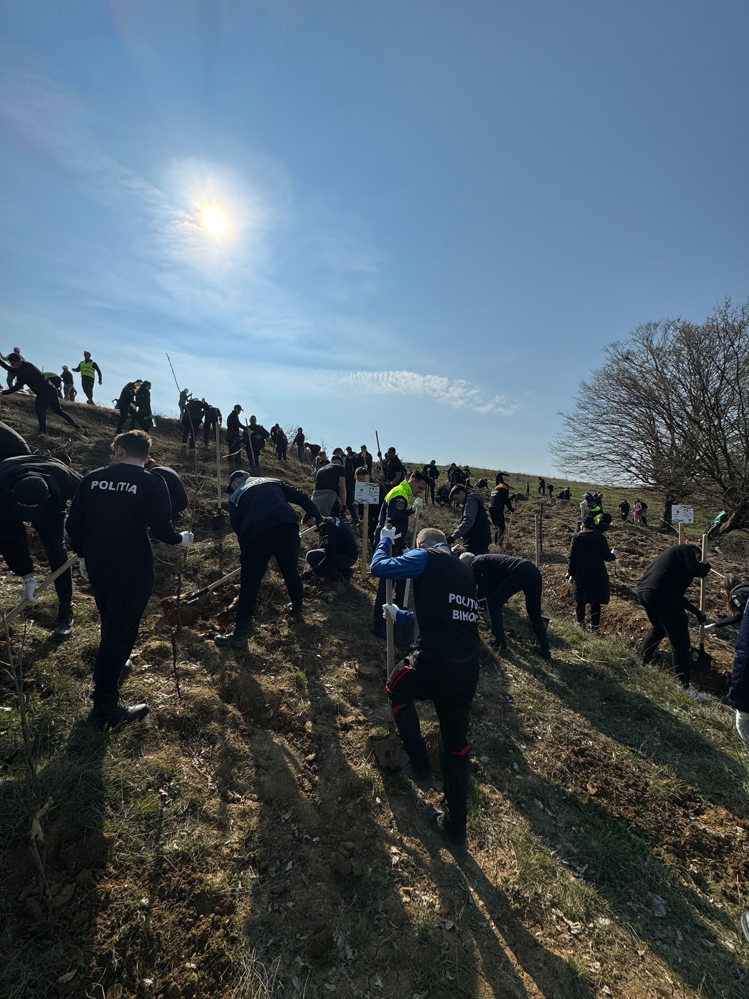 WhatsApp Image 2024-03-23 at 14.56.35